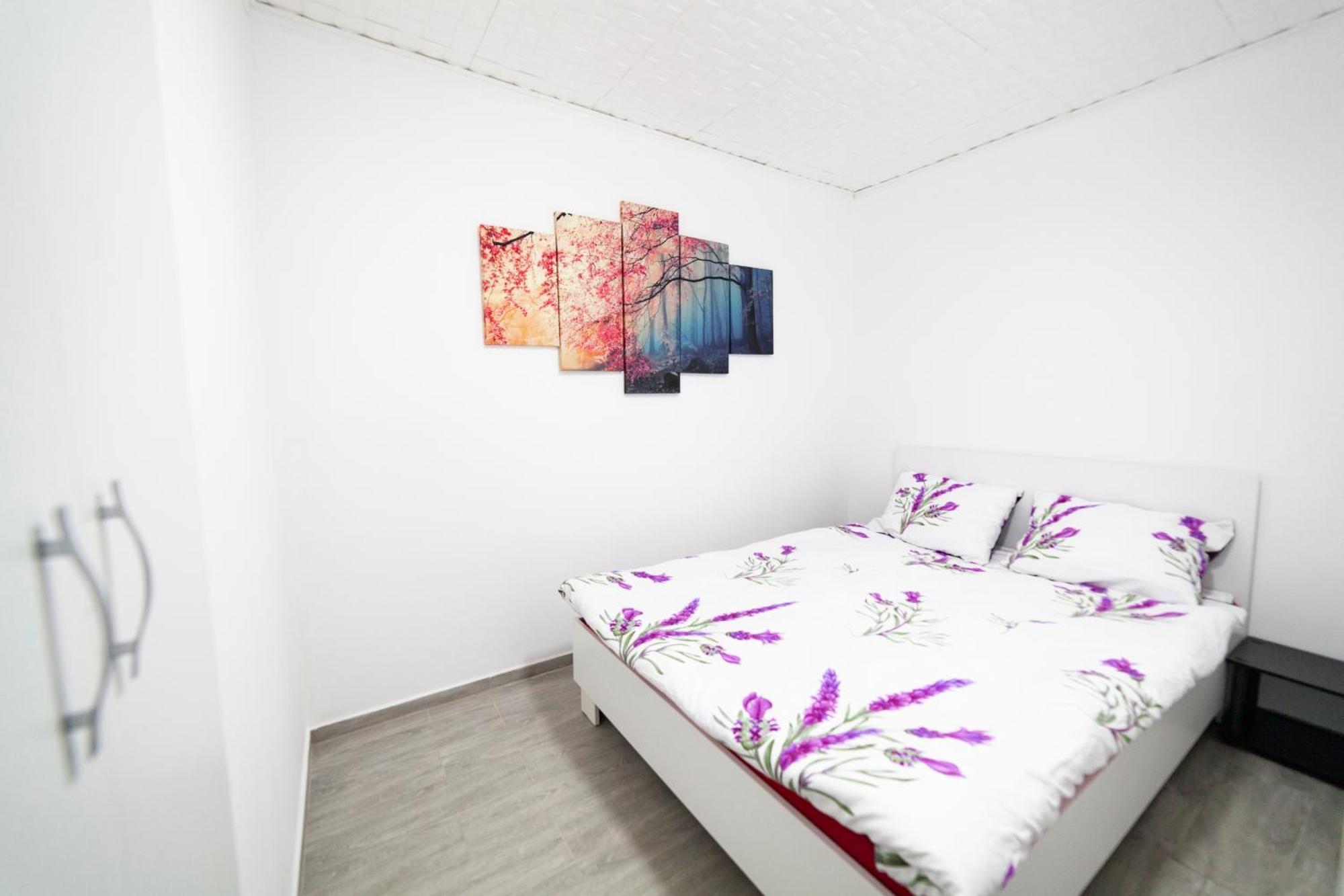 Arad City Center Comfortable Apartment 외부 사진